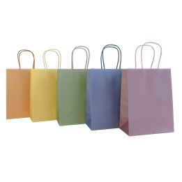 Presentpåse 175x100x230mm 130g Multicolor 5st/fp