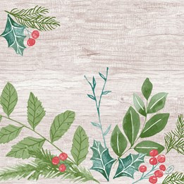 Servette 40cm Winter Greenery 50st/fp