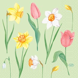 Servett 33cm 3-Lags Spring Melody 250st/fp