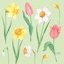 Servett 33cm 3-Lags Spring Melody 250st/fp