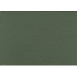 Presentpapper 57cm Grön Ribbad