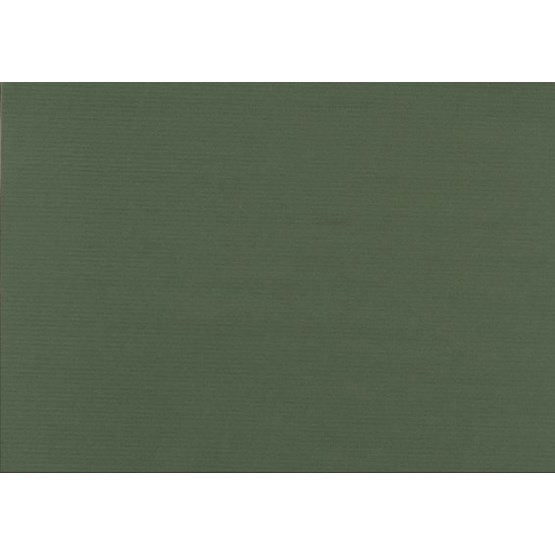 Presentpapper 57cm Grön Ribbad