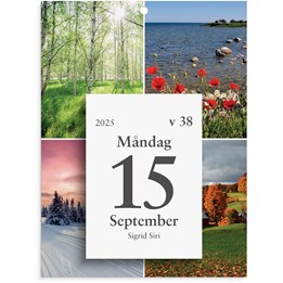 Almanacka Väggplån Dagblock 1Dag/Sida