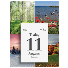 Almanacka Väggplån Dagblock 1Dag/Sida