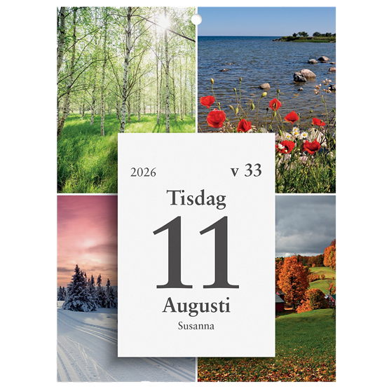 Almanacka Väggplån Dagblock 1Dag/Sida