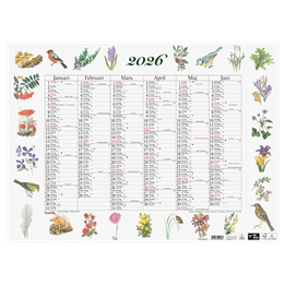 Almanacka Stora Natural Halvår/Sida