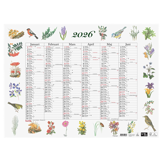 Almanacka Stora Natural Halvår/Sida